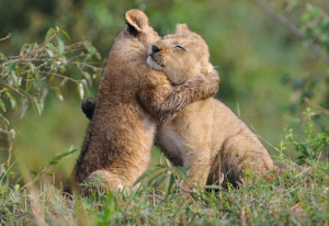 スクリーンショット 2016-03-07 19.17.20